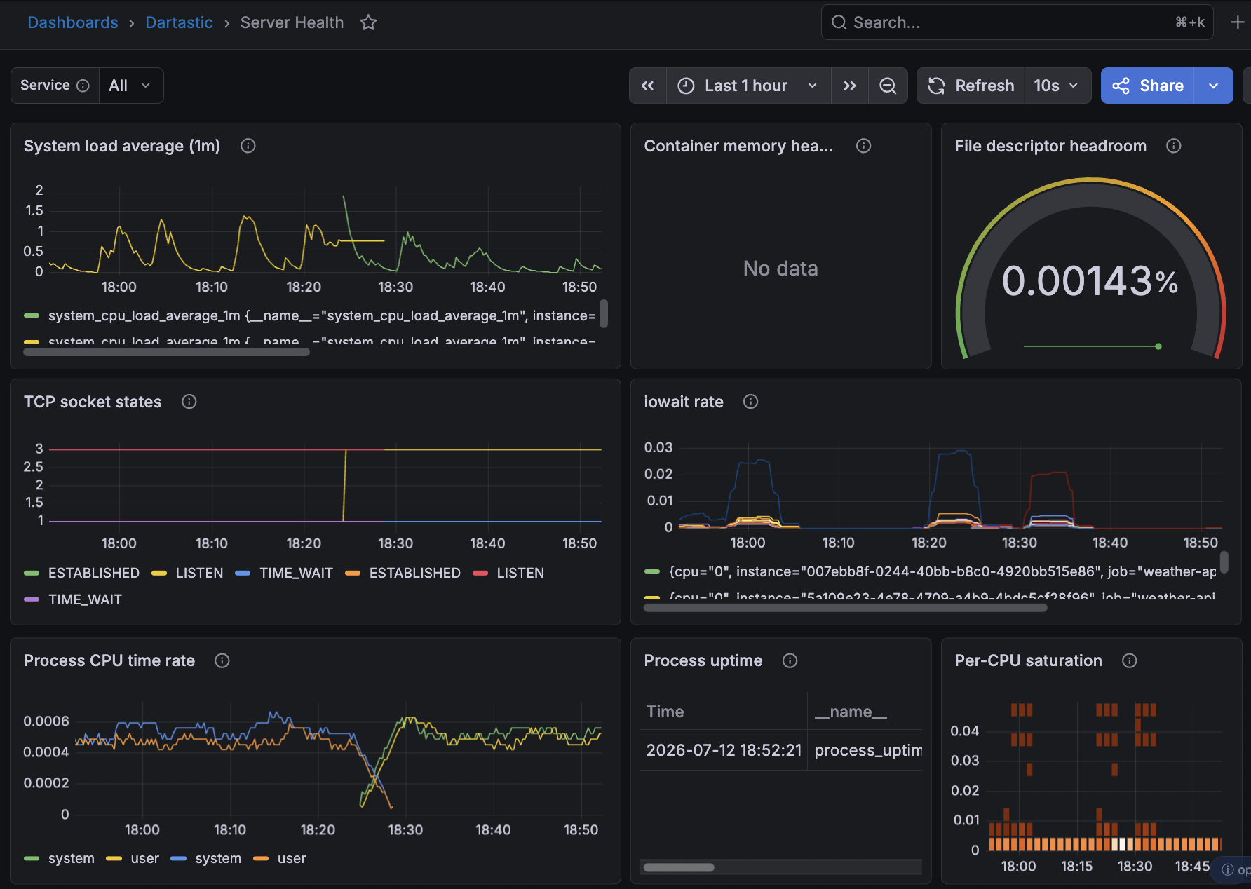Dartastic Observatory dashboard — Server Health