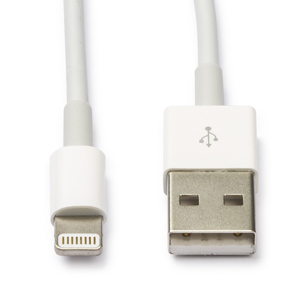 An Apple Lightning cable